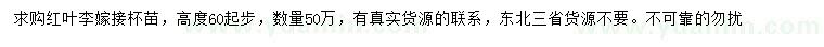 求購高60公分以上嫁接紅葉李