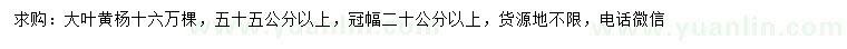 求購55公分以上大葉黃楊