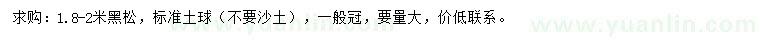 求購2米黑松