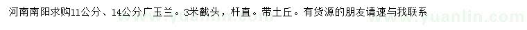 求購11、14公分廣玉蘭