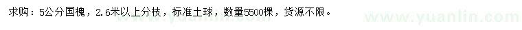 求購(gòu)5公分國(guó)槐