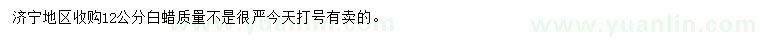 求購(gòu)12公分白蠟