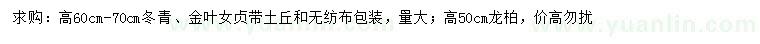 求購(gòu)冬青、金葉女貞、龍柏