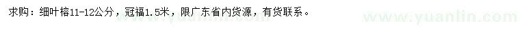 求購11-12公分細葉榕