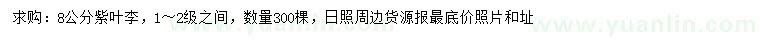 求購(gòu)8公分紫葉李