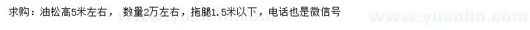 求購高5米油松