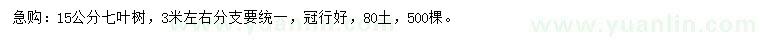 求購15公分七葉樹