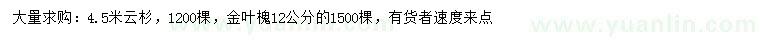 求購4.5米云杉、12公分金葉槐
