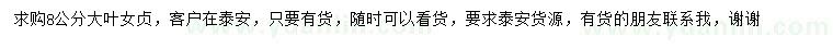 求購8公分大葉女貞