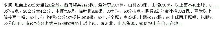 求購西府海棠、紫葉李、山桃等