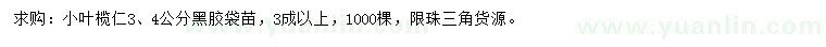 求購3、4公分小葉欖仁