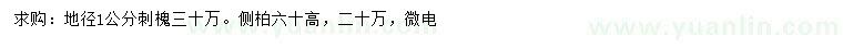 求購(gòu)地徑1公分刺槐、高60公分側(cè)柏