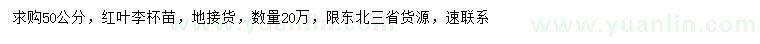 求購(gòu)50公分紅葉李