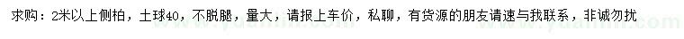 求購(gòu)2米以上側(cè)柏