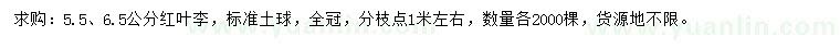 求購5.5、6.5公分紅葉李