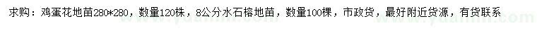求購(gòu)雞蛋花、8公分水石榕