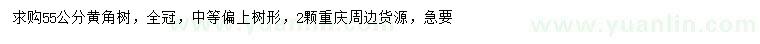 求購(gòu)55公分黃角樹(shù)