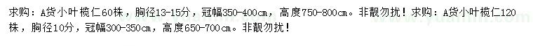 求購胸徑10、13-15分小葉欖仁