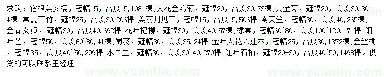 求購美女櫻、大花金雞菊、黃金菊等