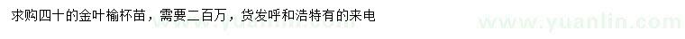 求購40公分金葉榆