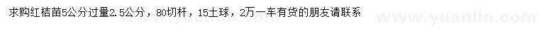 求購5量2.5公分紅桔苗