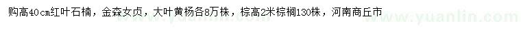 求購紅葉石楠、金森女貞、大葉黃楊等