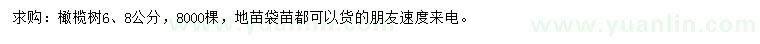 求購6、8公分橄欖樹