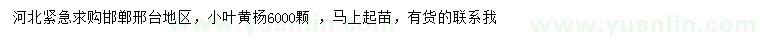 求購小葉黃楊