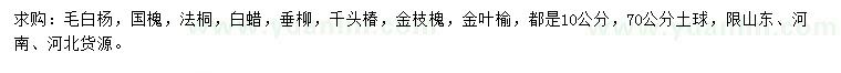 求購(gòu)毛白楊、國(guó)槐、法桐等