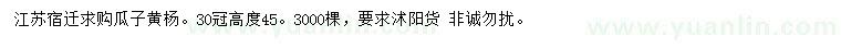 求購冠幅30公分瓜子黃楊