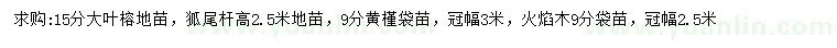 求購(gòu)大葉榕、狐尾椰、黃槿等