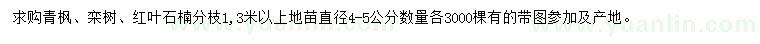 求購青楓、欒樹、紅葉石楠