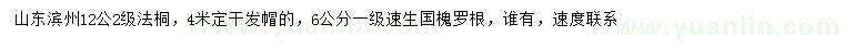 求購(gòu)12公分法桐、6公分國(guó)槐