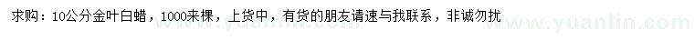 求購10公分金葉白蠟