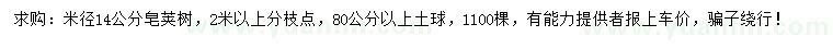 求購米徑14公分皂莢樹