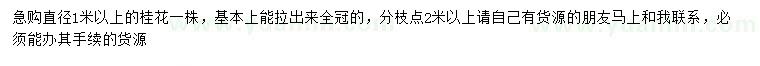 求購直徑1米以上桂花