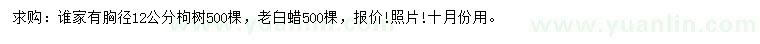 求購(gòu)胸徑12公分構(gòu)樹(shù)、老白蠟