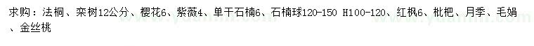 求購(gòu)法桐、欒樹、櫻花等