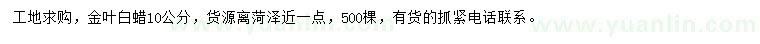 求購10公分金葉白蠟