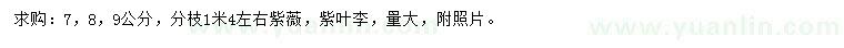 求購7、8、9公分紫薇、紫葉李
