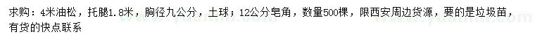 求購(gòu)4米油松、12公分皂角
