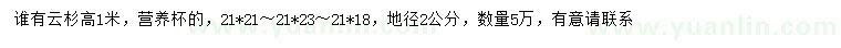 求購高1米云杉
