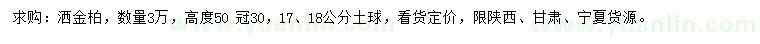 求購高50公分灑金柏
