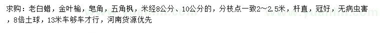 求購老白蠟、金葉榆、皂角等