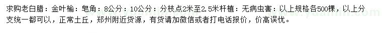 求購老白蠟、金葉榆、皂角