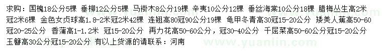求購國槐、垂柳、馬褂木等