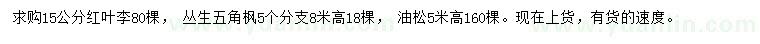 求購紅葉李、叢生五角楓、油松