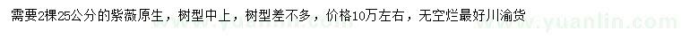 求購25公分紫薇