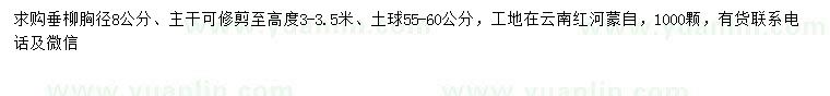 求購胸徑8公分垂柳