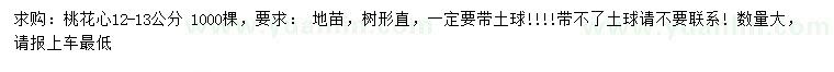 求購12-13公分桃花心